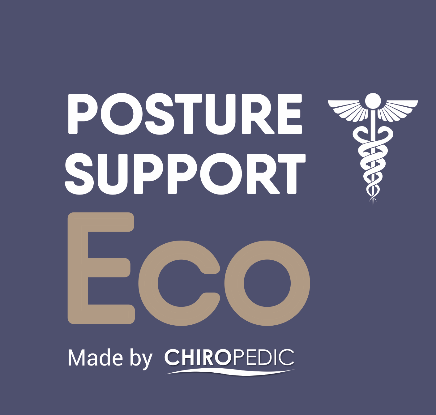 posture-support-eco-logo