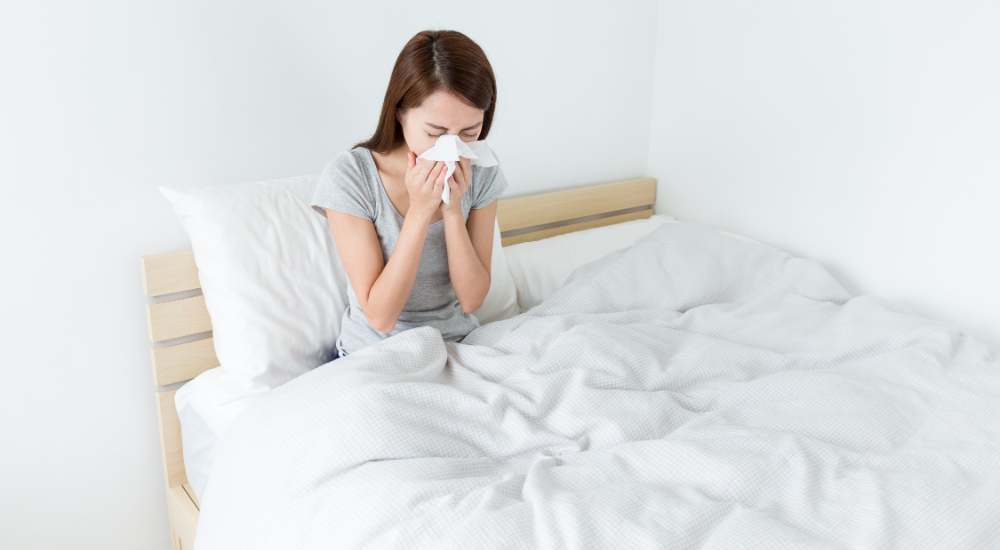 dust mite allergies sneezing bed